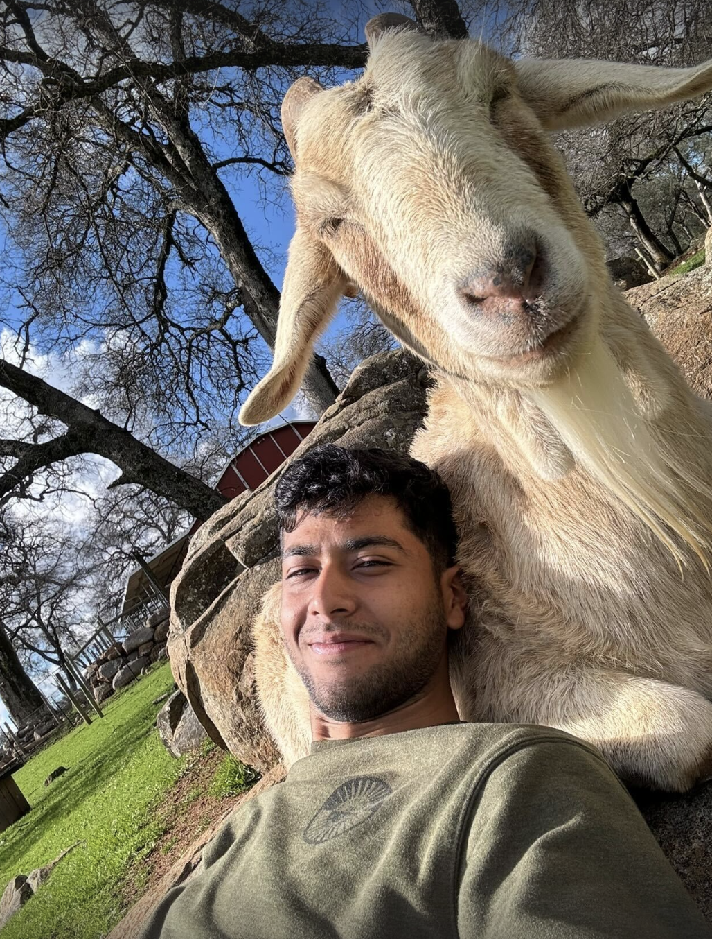 Ibrahim Dominguez – Animal Place